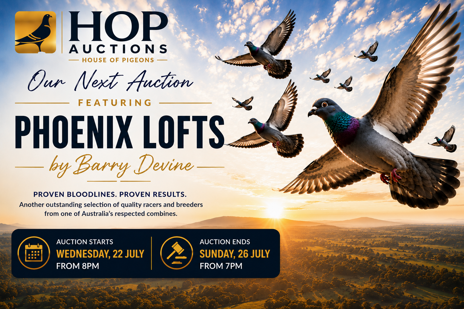 Next auction
