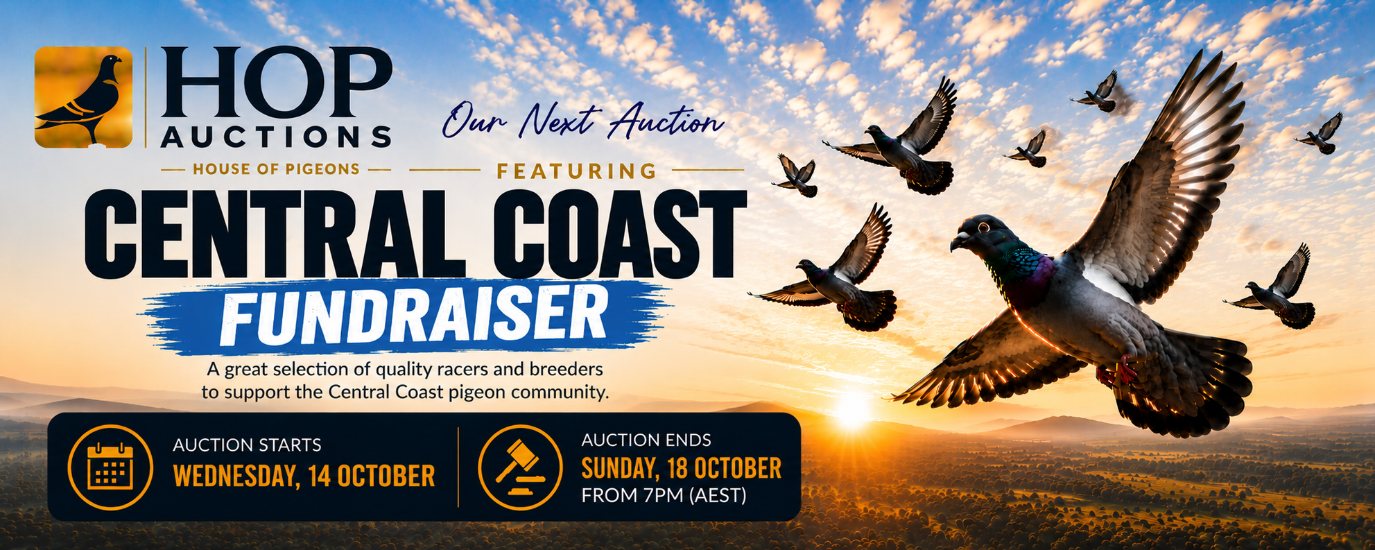 Next auction