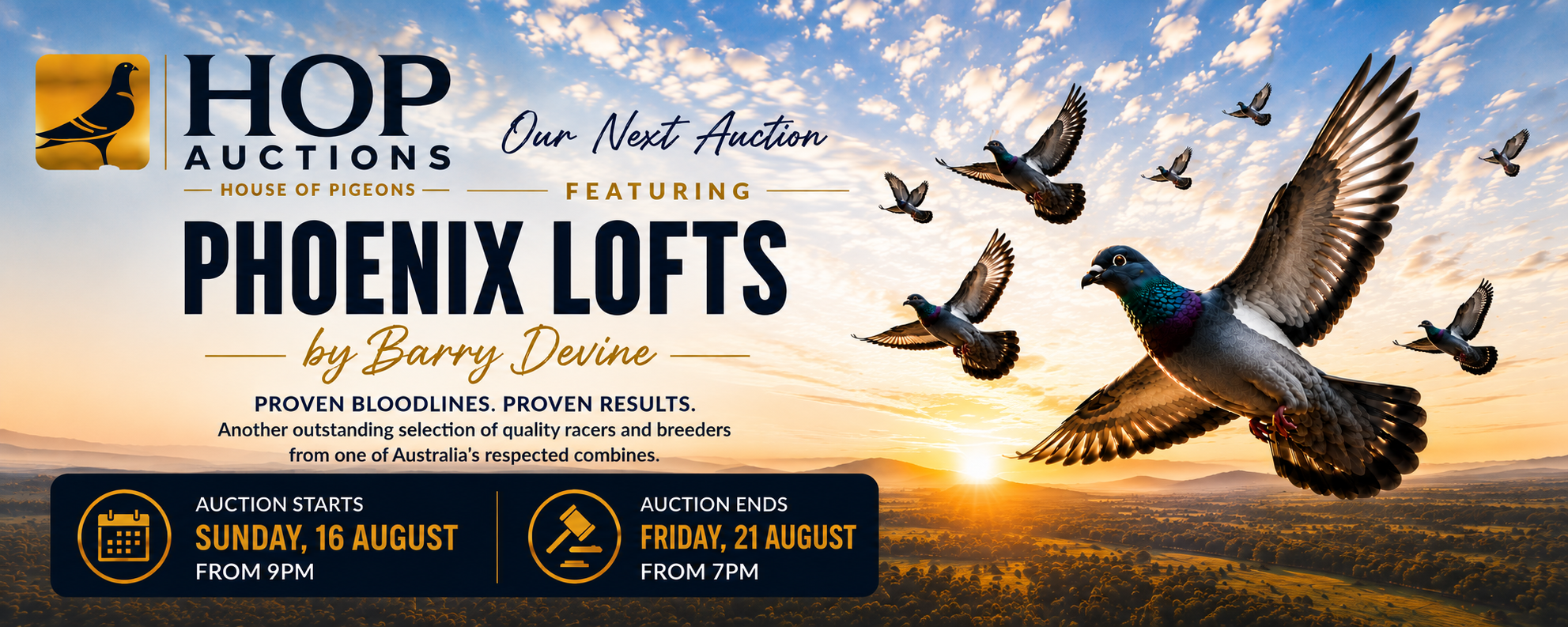 Next auction