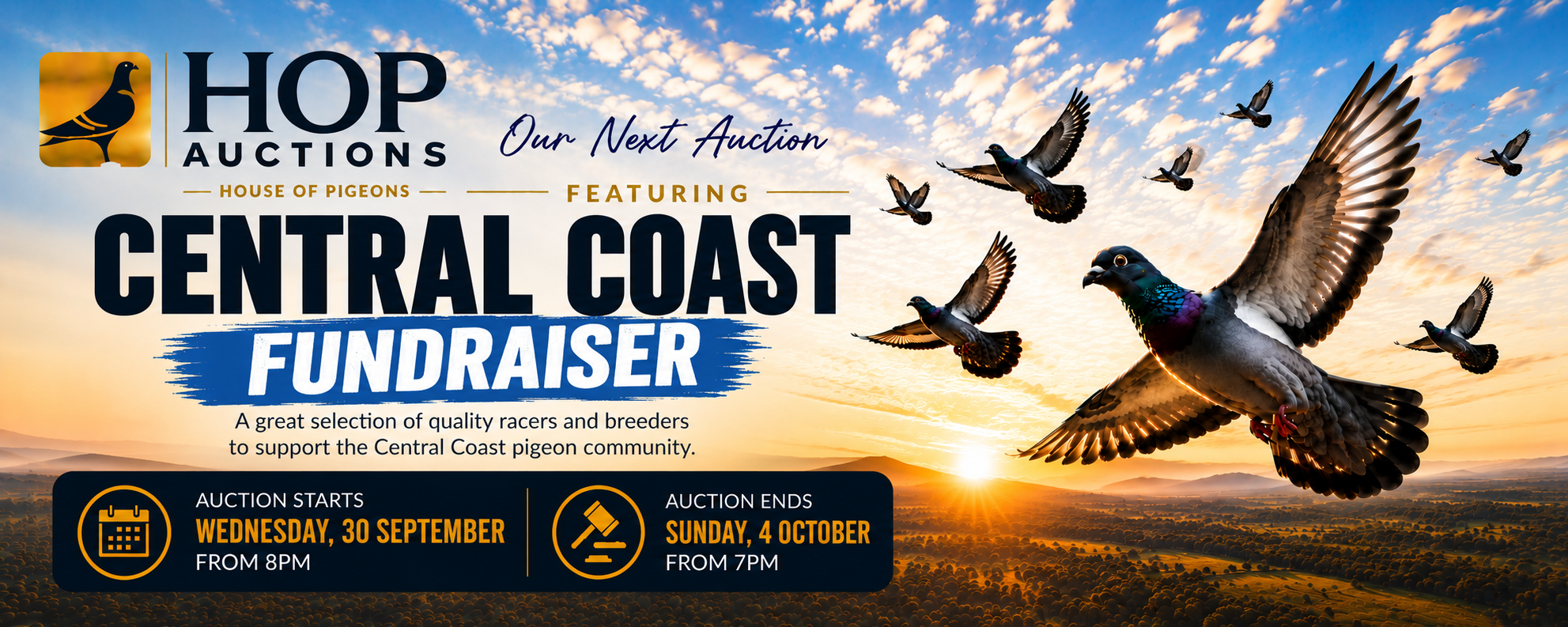 Next auction