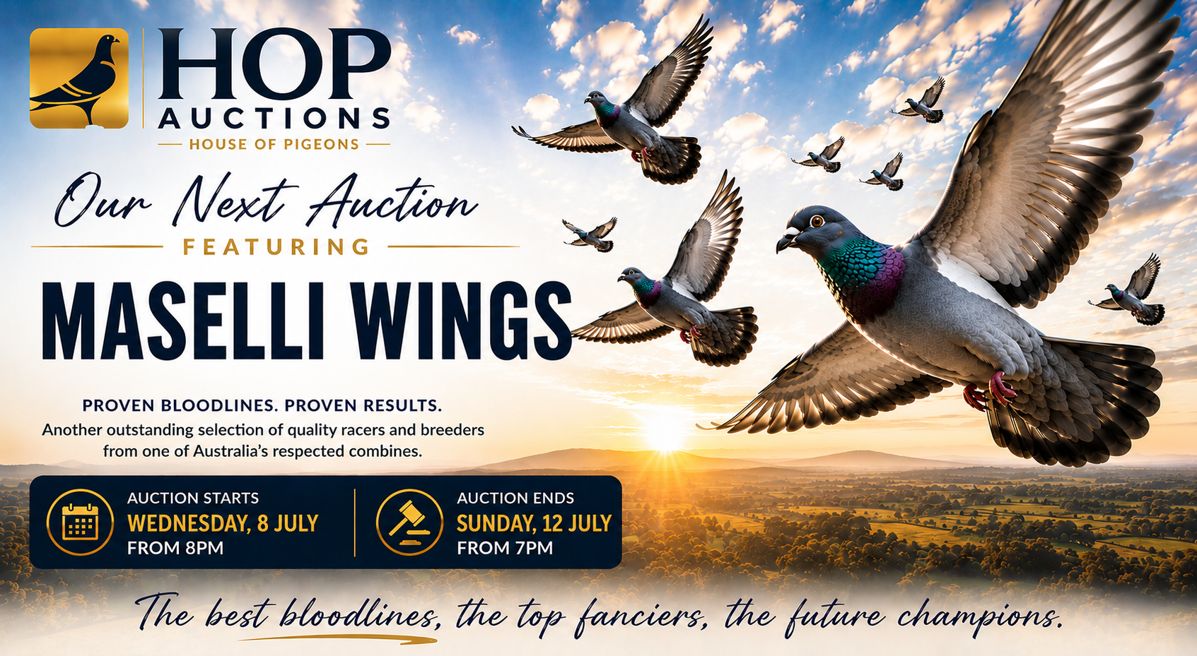 Next auction