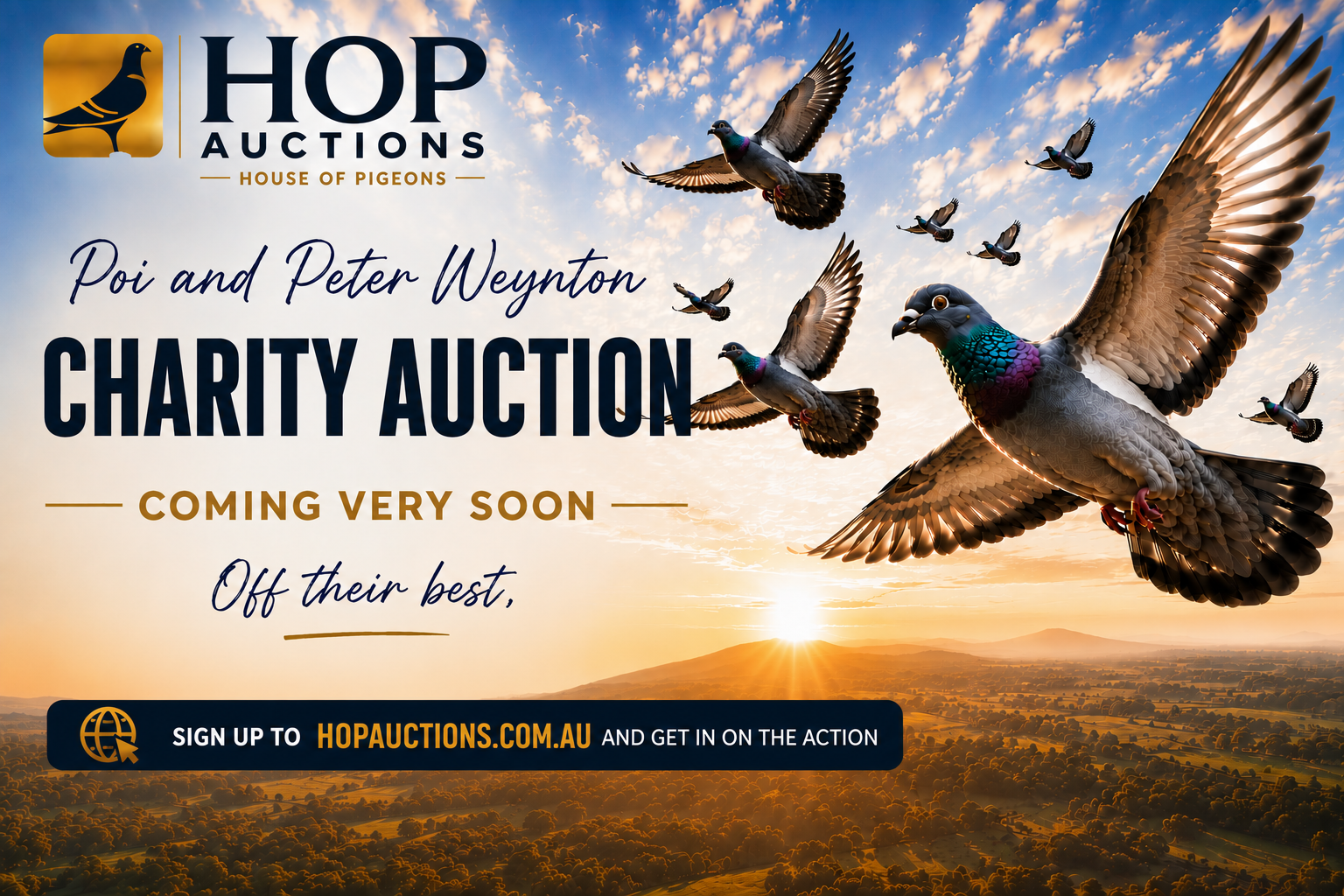 Next auction
