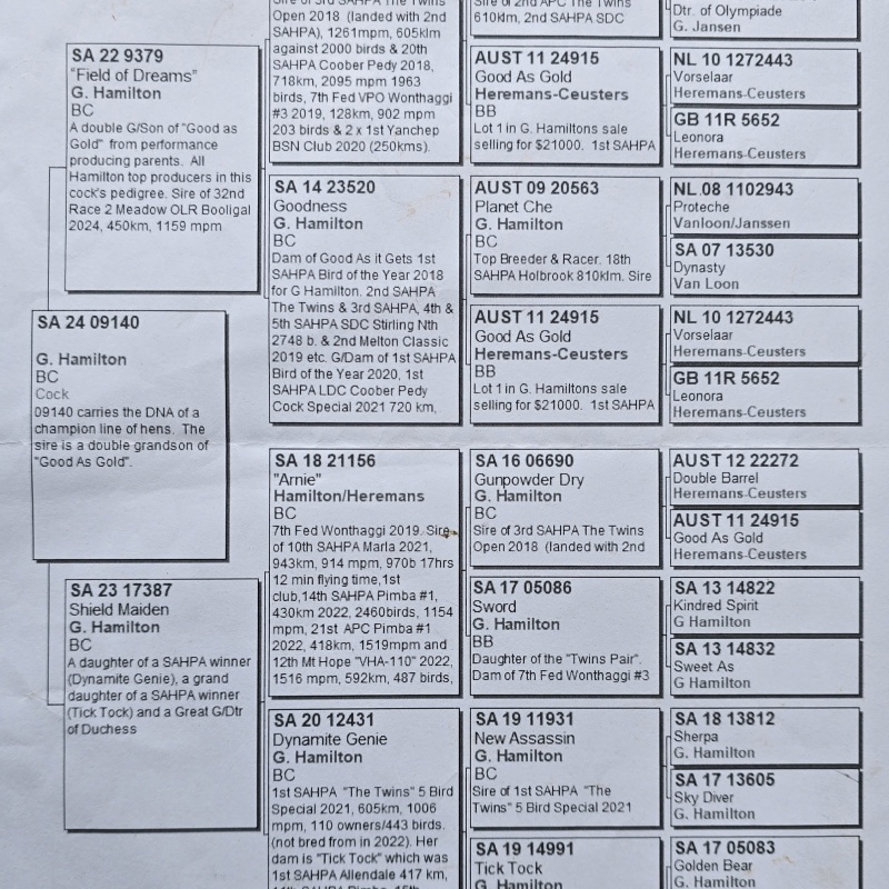Lot 13 SA 24 09140 BCC GREG HAMILTON