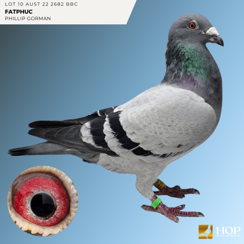 Lot 10 AUST 22 2682 BBC 'FATPHUC' VAN DEN BULCK X HAMILTON