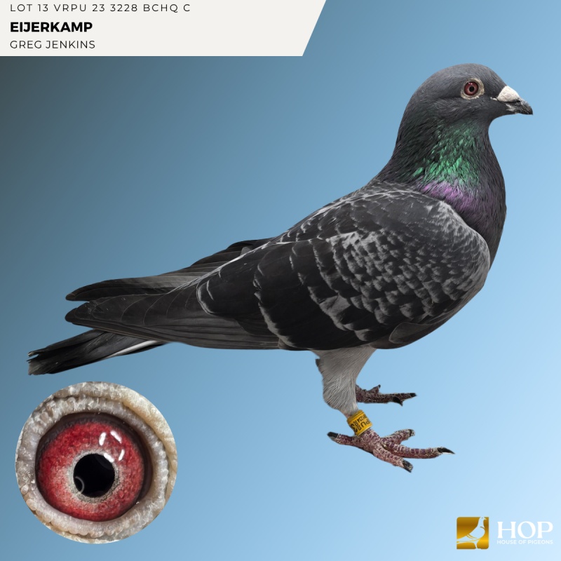 LOT 13 VRPU 23 3228 BCHQ C EIJERKAMP