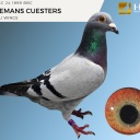 LOT 1 GC 24 1898 BBC HEREMANS CUESTERS