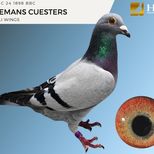 LOT 1 GC 24 1898 BBC HEREMANS CUESTERS