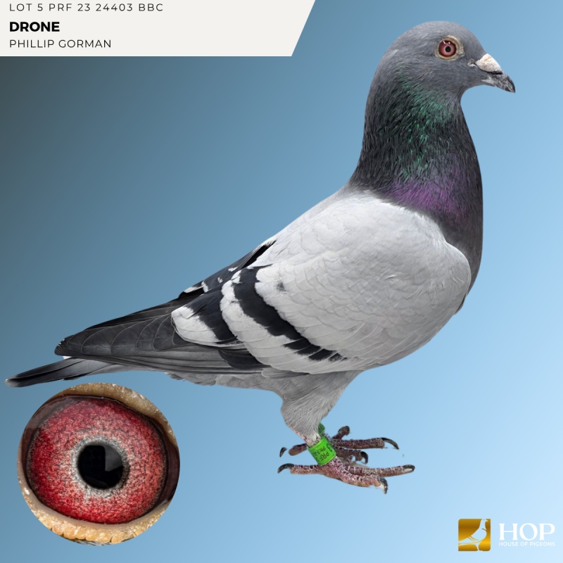 Lot 5 PRF 23 24403 BBC 'DRONE'