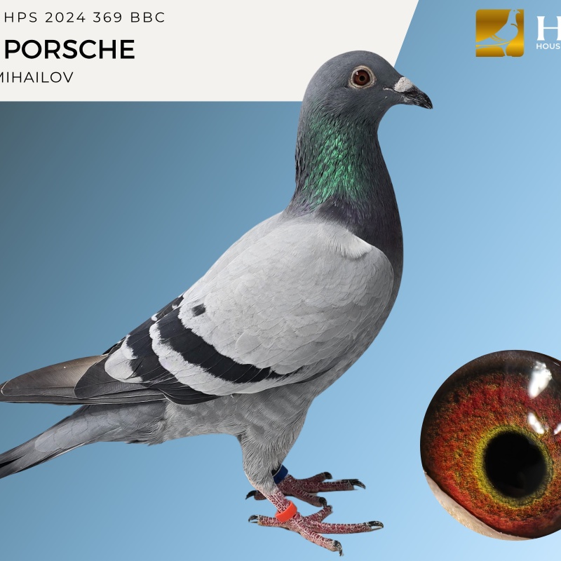 LOT 5 IHPS 2024 369 BBC PEC PORSCHE