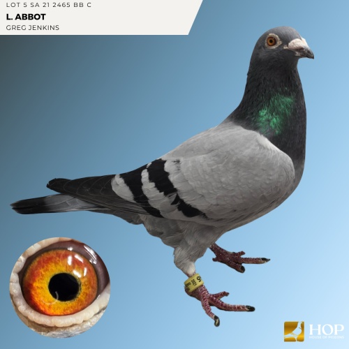 LOT 5 SA 21 2465 BB C L. ABBOT