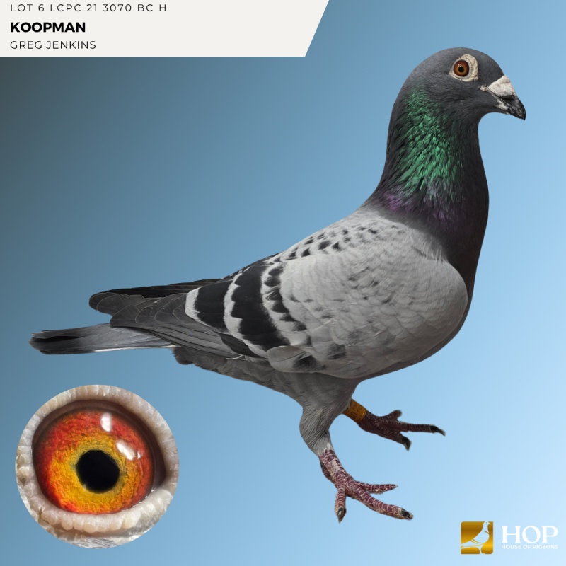 LOT 6 LCPC 21 3070 BC H KOOPMAN