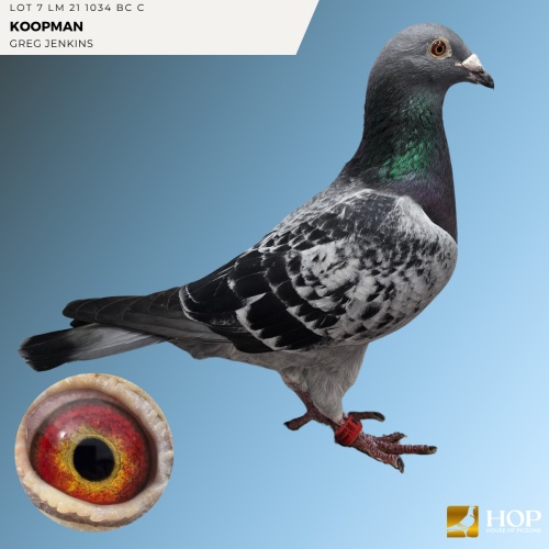 LOT 7 LM 21 1034 BC C KOOPMAN