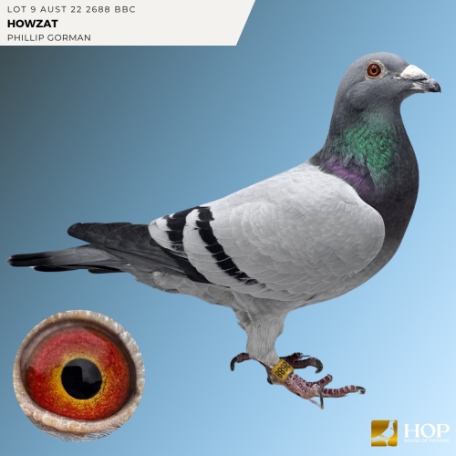 Lot 9 AUST 22 2688 BBC 'HOWZAT' VAN DEN BULCK X HAMILTON