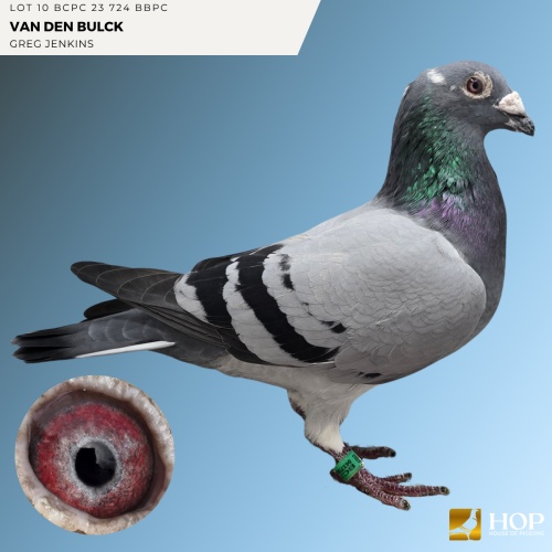 Lot 10 BCPC 23 724 BBPC VAN DEN BULCK