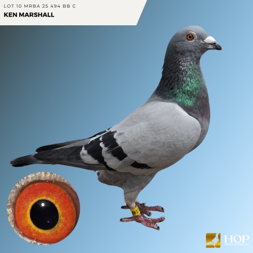 Lot 10 MRBA 25 494 BB C KEN MARSHALL