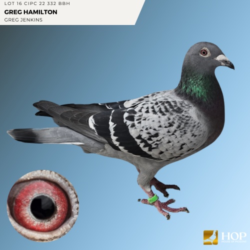 Lot 16 CIPC 22 332 BBH GREG HAMILTON