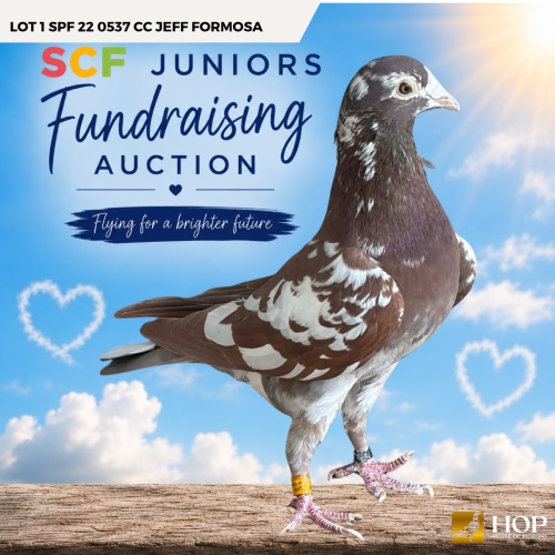 Lot 1 SPF 22 0537 CC Jeff Formosa