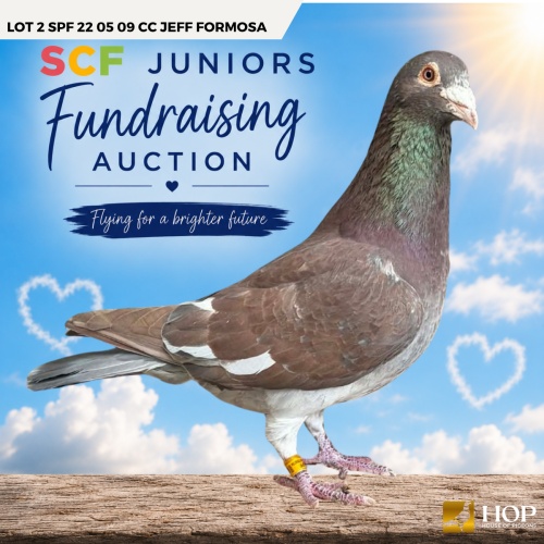 Lot 2 SPF 22 05 09 CC Jeff Formosa