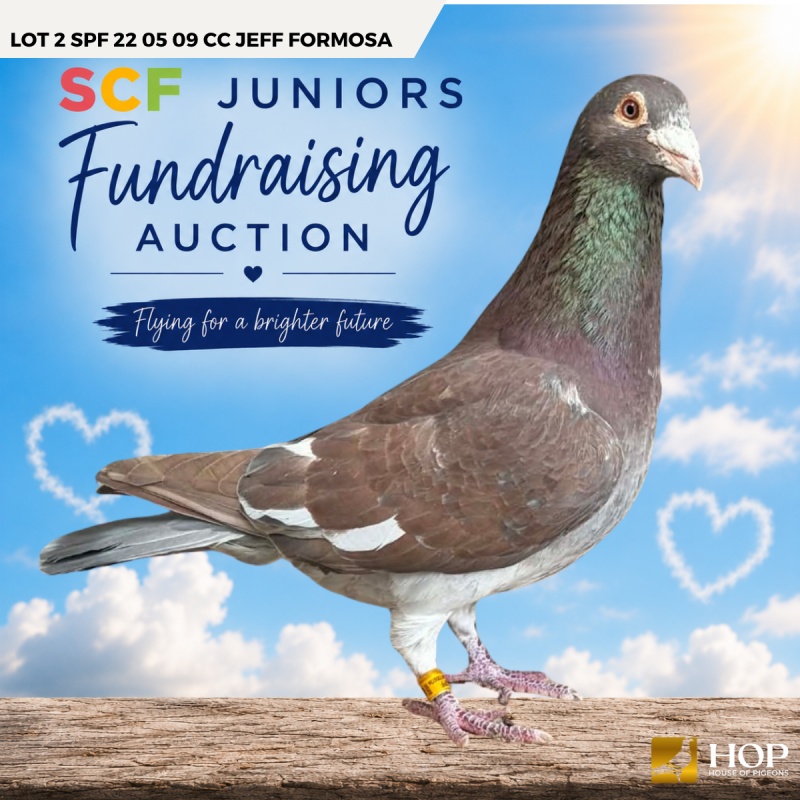 Lot 2 SPF 22 05 09 CC Jeff Formosa
