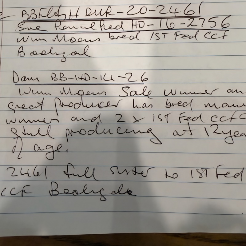 Lot 3 DUR 20 2461 BBFH WIM MOENS