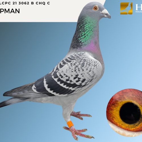 LOT 4 LCPC 21 3062 BCHQ C KOOPMAN