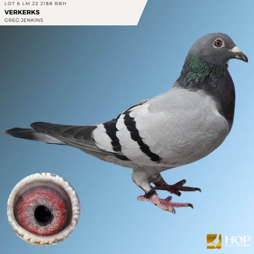 Lot 6 LM 22 2188 BBH VERKERKS