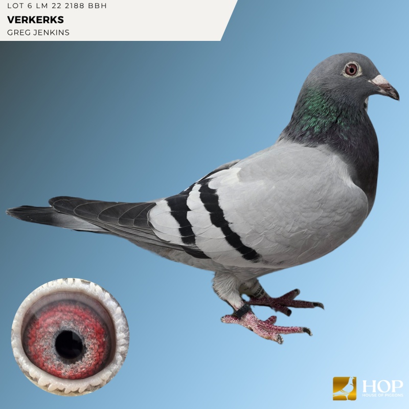 Lot 6 LM 22 2188 BBH VERKERKS