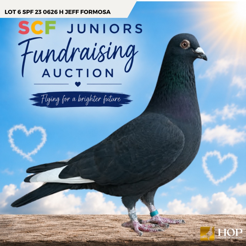 Lot 6 SPF 23 0626 H Jeff Formosa