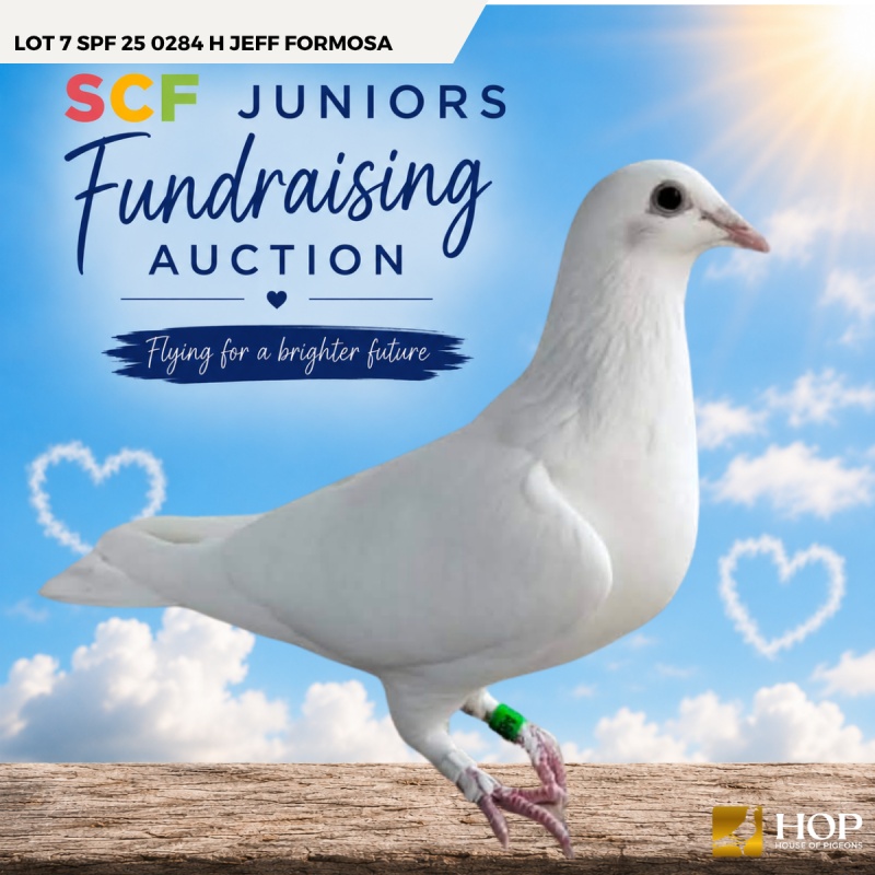 Lot 7 SPF 25 0284 H Jeff Formosa