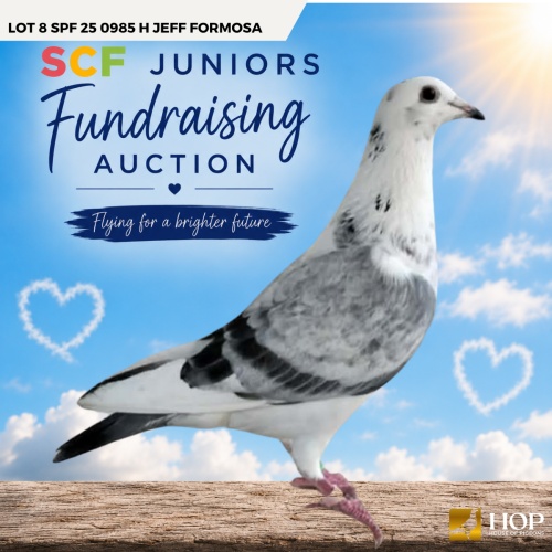 Lot 8 SPF 25 0985 H Jeff Formosa