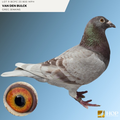 Lot 9 BCPC 23 800 MPH VAN DEN BULCK