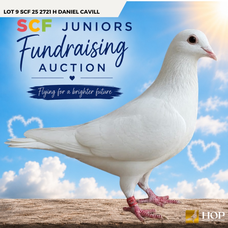 Lot 9 SCF 25 2721 H Daniel Cavill